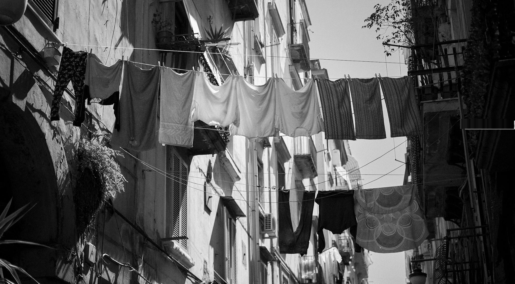 Naples